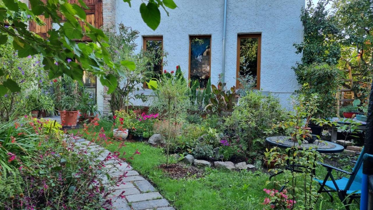Flaneurstudio Szentendre Exteriör bild